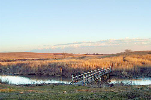 Spring Creek Prairie